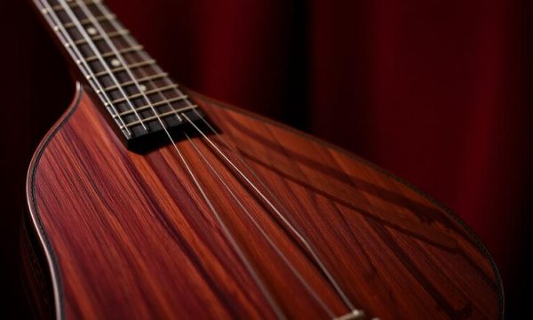 Important Things You Must Know About the Bouzouki